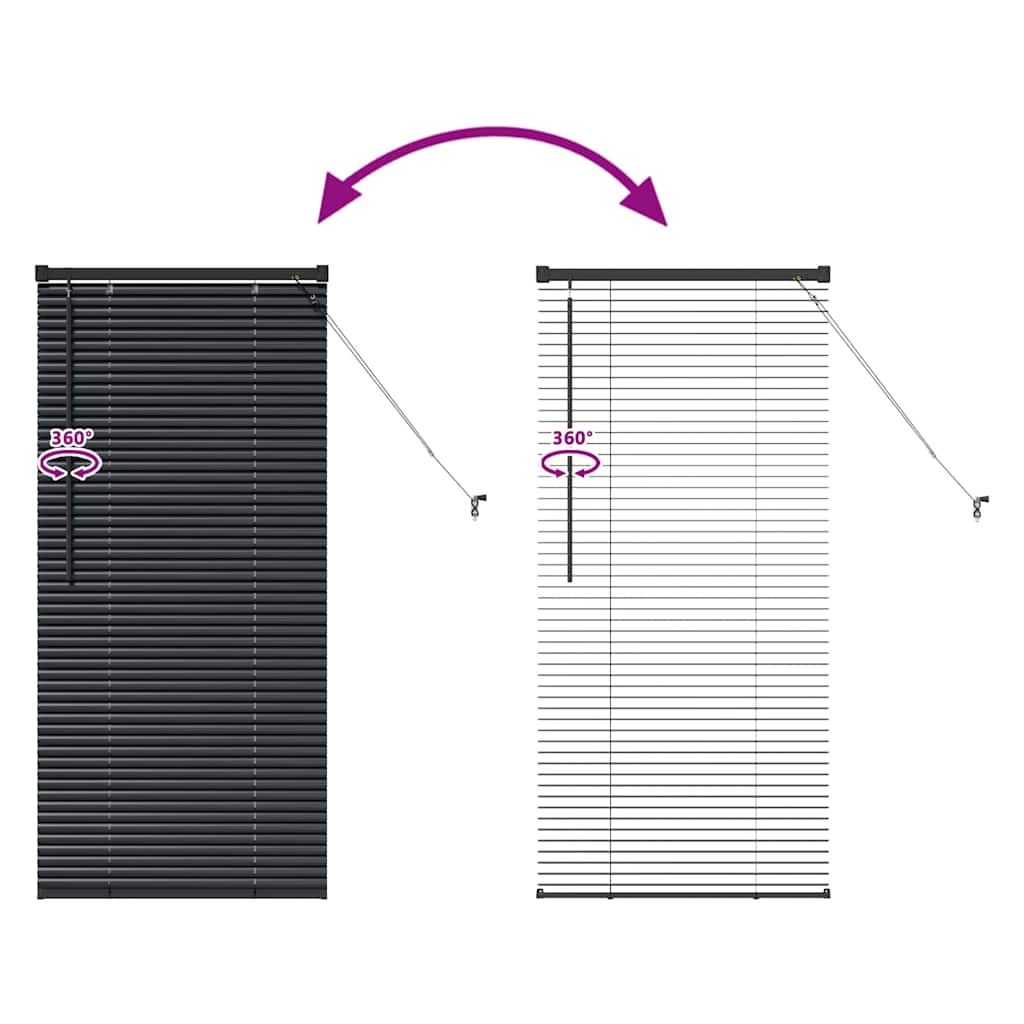 Jaluzea pentru Fereastră cu perdele Altele Manual Negru 60 x 130 cm Aluminiu GartenMobel Dekor