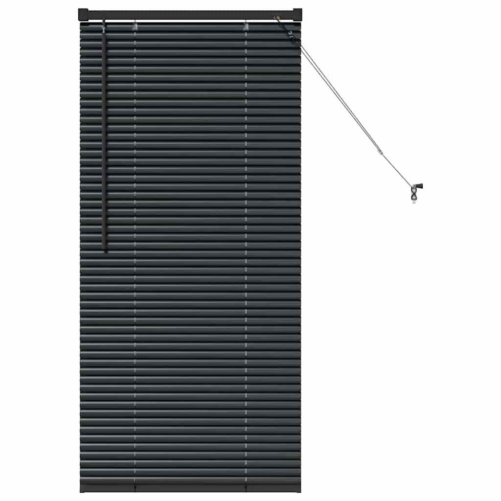 Jaluzea pentru Fereastră cu perdele Altele Manual Negru 60 x 130 cm Aluminiu GartenMobel Dekor