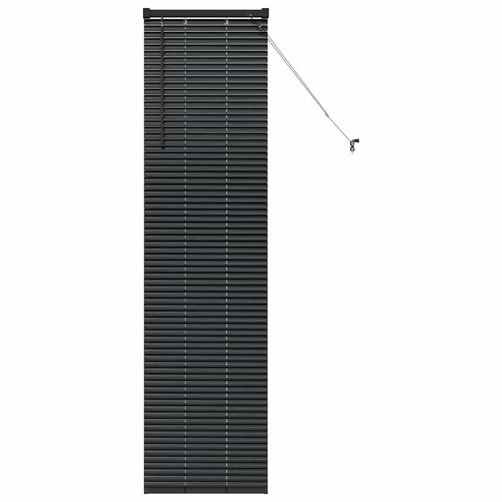 Jaluzea pentru Fereastră cu perdele Altele Manual Negru 80 x 130 cm Aluminiu GartenMobel Dekor