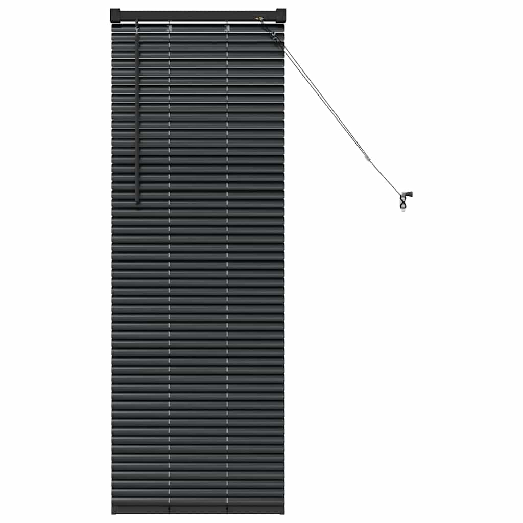 Jaluzea pentru Fereastră cu perdele Altele Manual Negru 80 x 130 cm Aluminiu GartenMobel Dekor