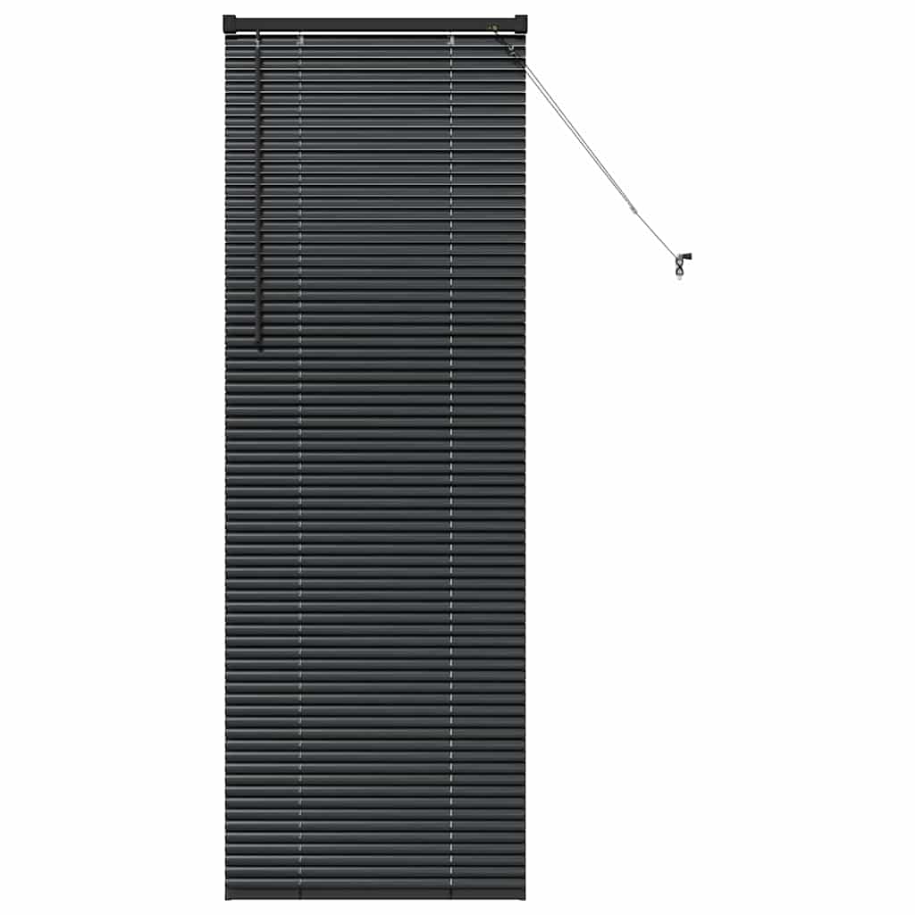 Jaluzea pentru Fereastră cu perdele Altele Manual Negru 80 x 130 cm Aluminiu GartenMobel Dekor