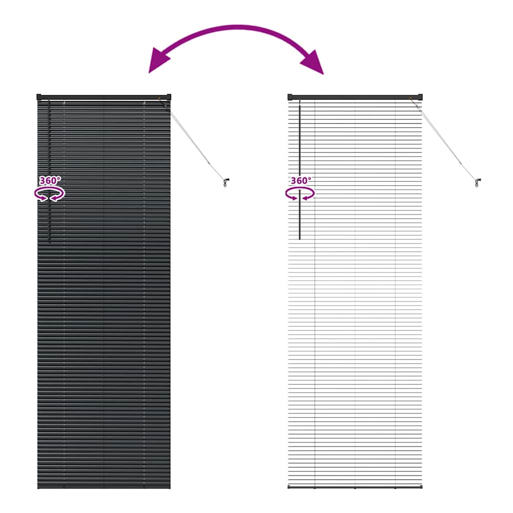Jaluzea pentru Fereastră cu perdele Altele Manual Negru 80 x 220 cm Aluminiu GartenMobel Dekor