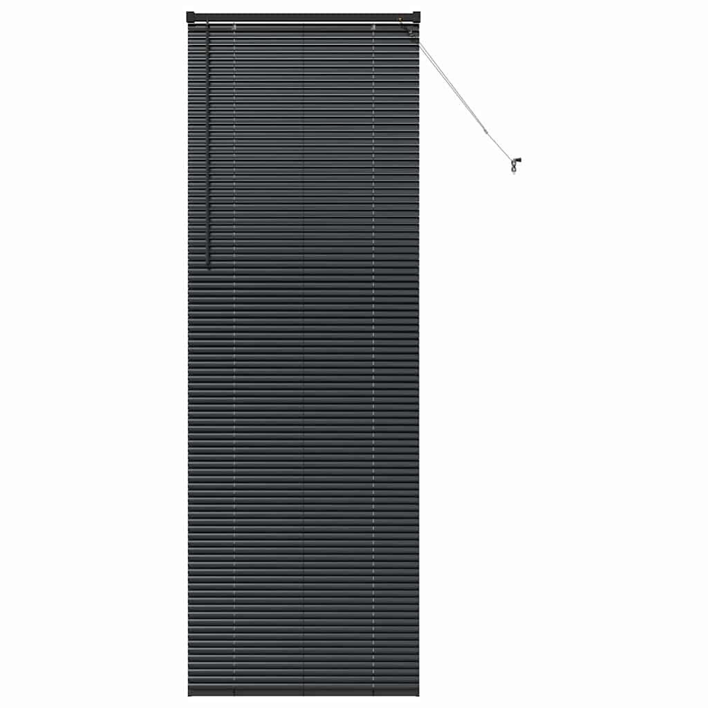 Jaluzea pentru Fereastră cu perdele Altele Manual Negru 80 x 220 cm Aluminiu GartenMobel Dekor