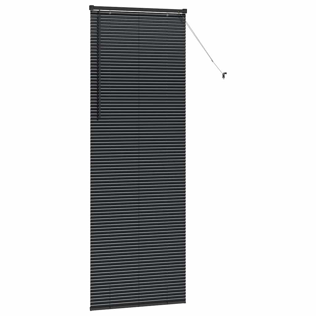 Jaluzea pentru Fereastră cu perdele Altele Manual Negru 80 x 220 cm Aluminiu GartenMobel Dekor