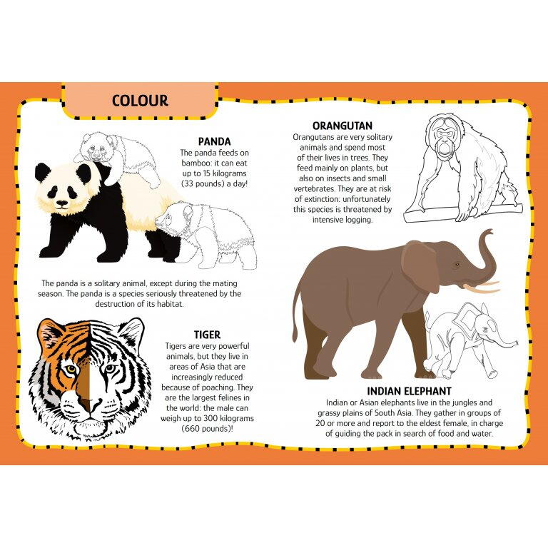 Primul set de arta & lucru manual - Animalute PlayLearn Toys
