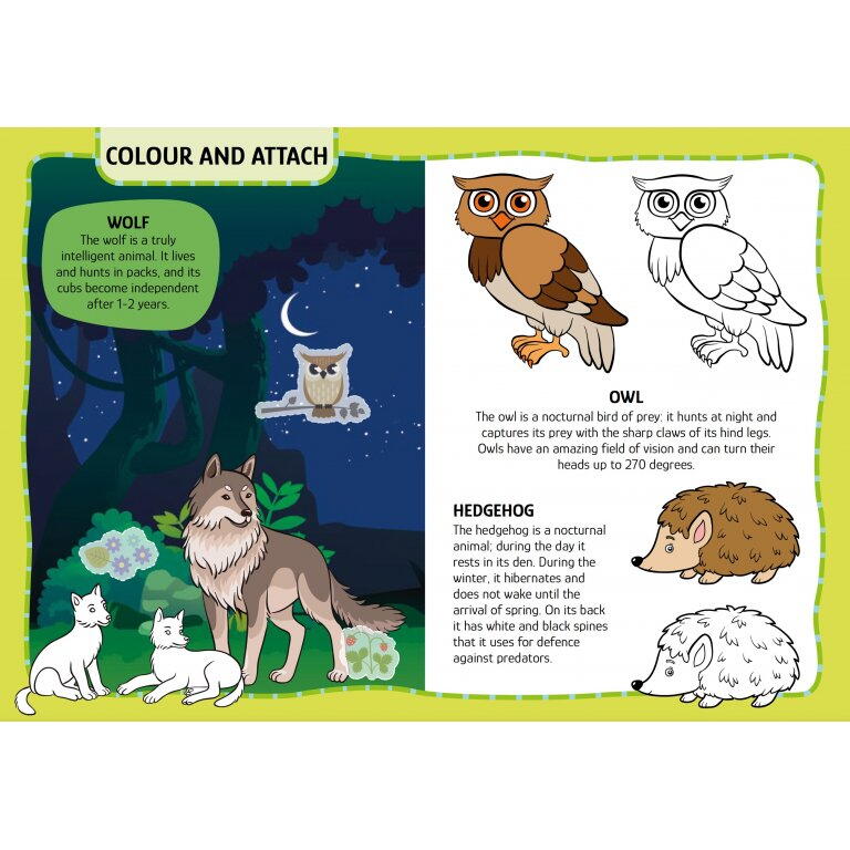 Primul set de arta & lucru manual - Animalute PlayLearn Toys