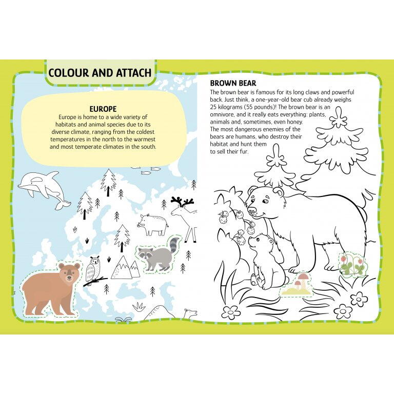 Primul set de arta & lucru manual - Animalute PlayLearn Toys