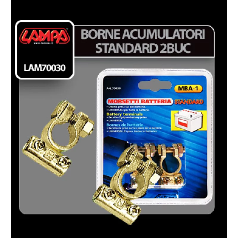 Borne acumulator standard 2buc Garage AutoRide
