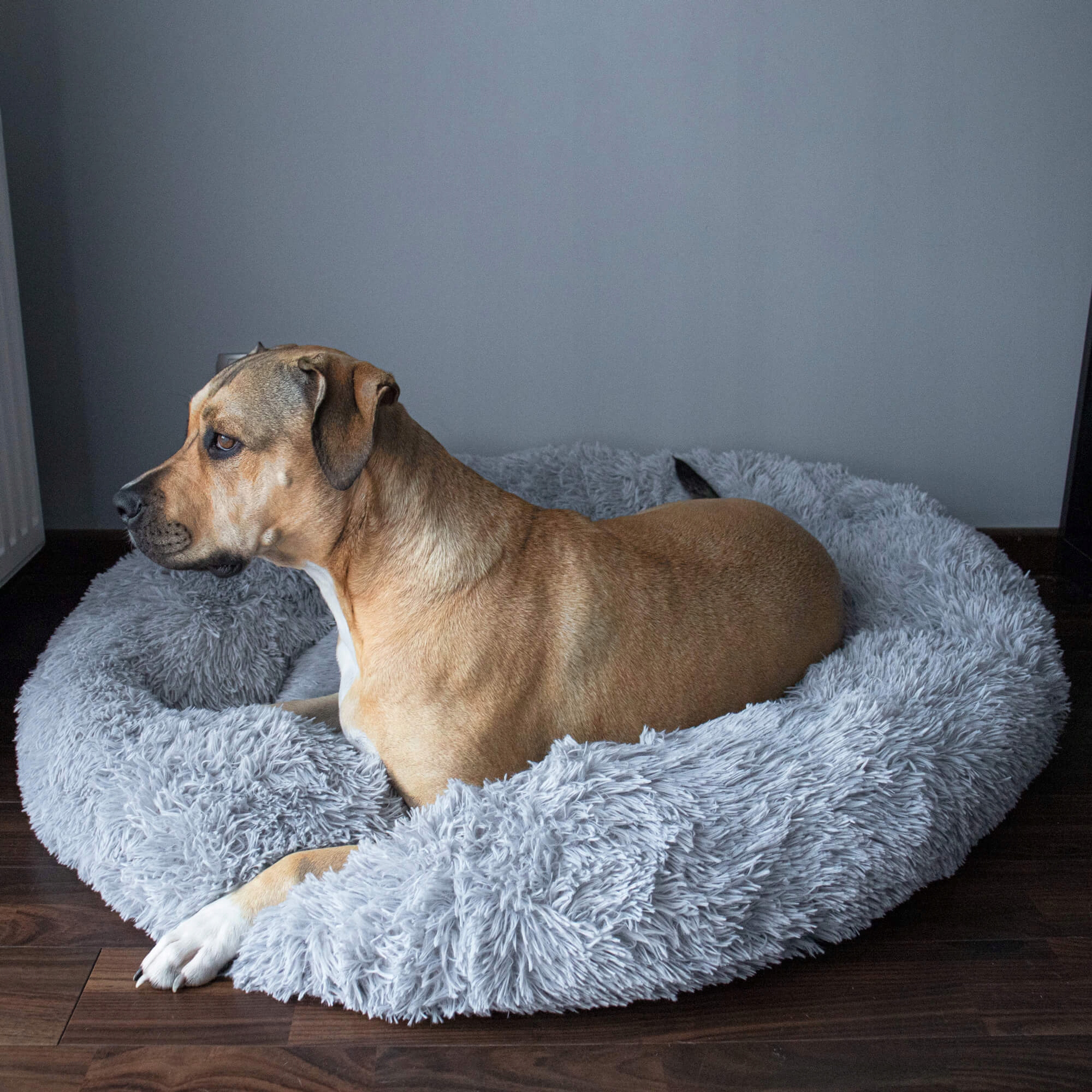 Pat Sersimo pentru caini si pisici, cu husa detasabila, gri, diametru 120cm Household NewTrend