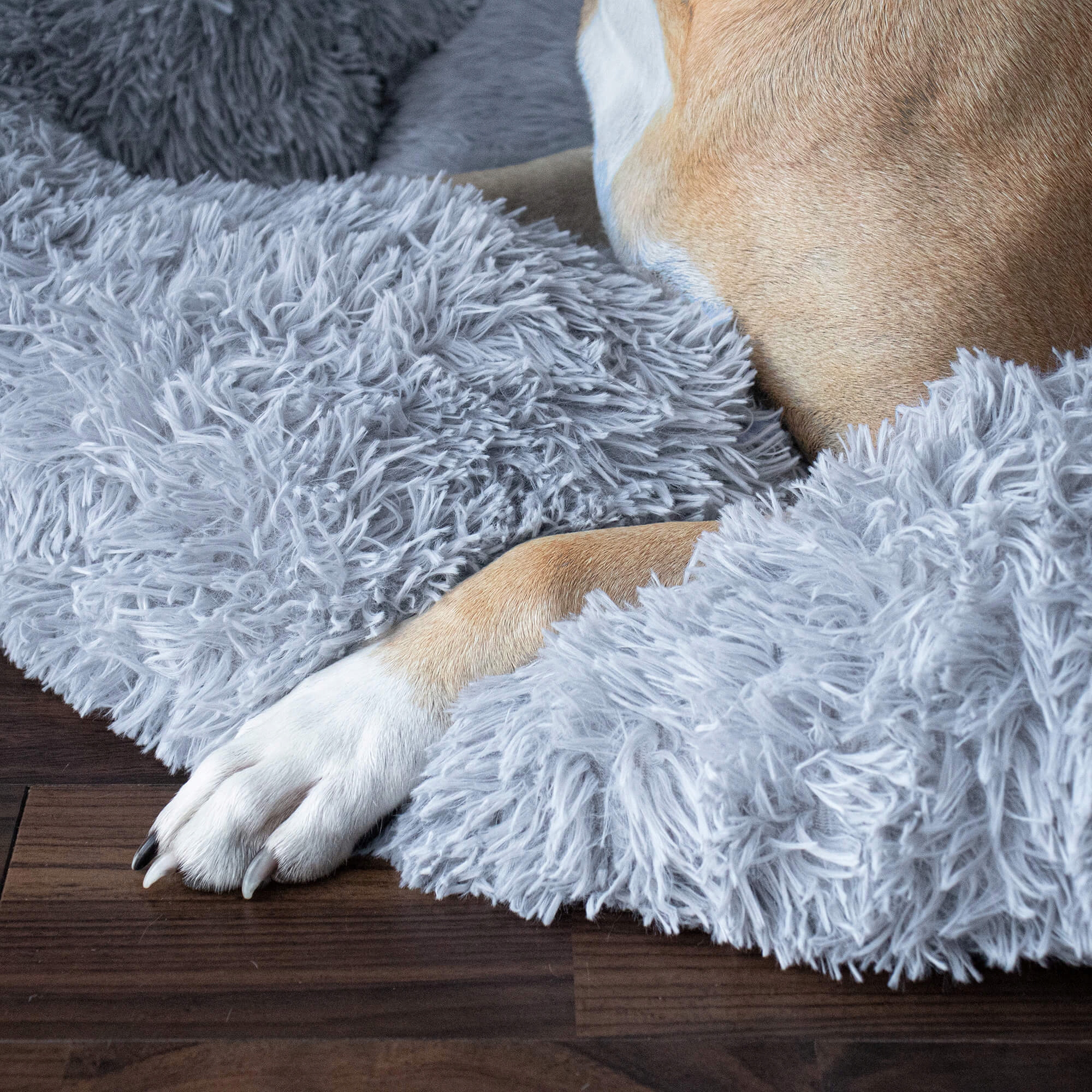 Pat Sersimo pentru caini si pisici, cu husa detasabila, gri, diametru 90cm Household NewTrend