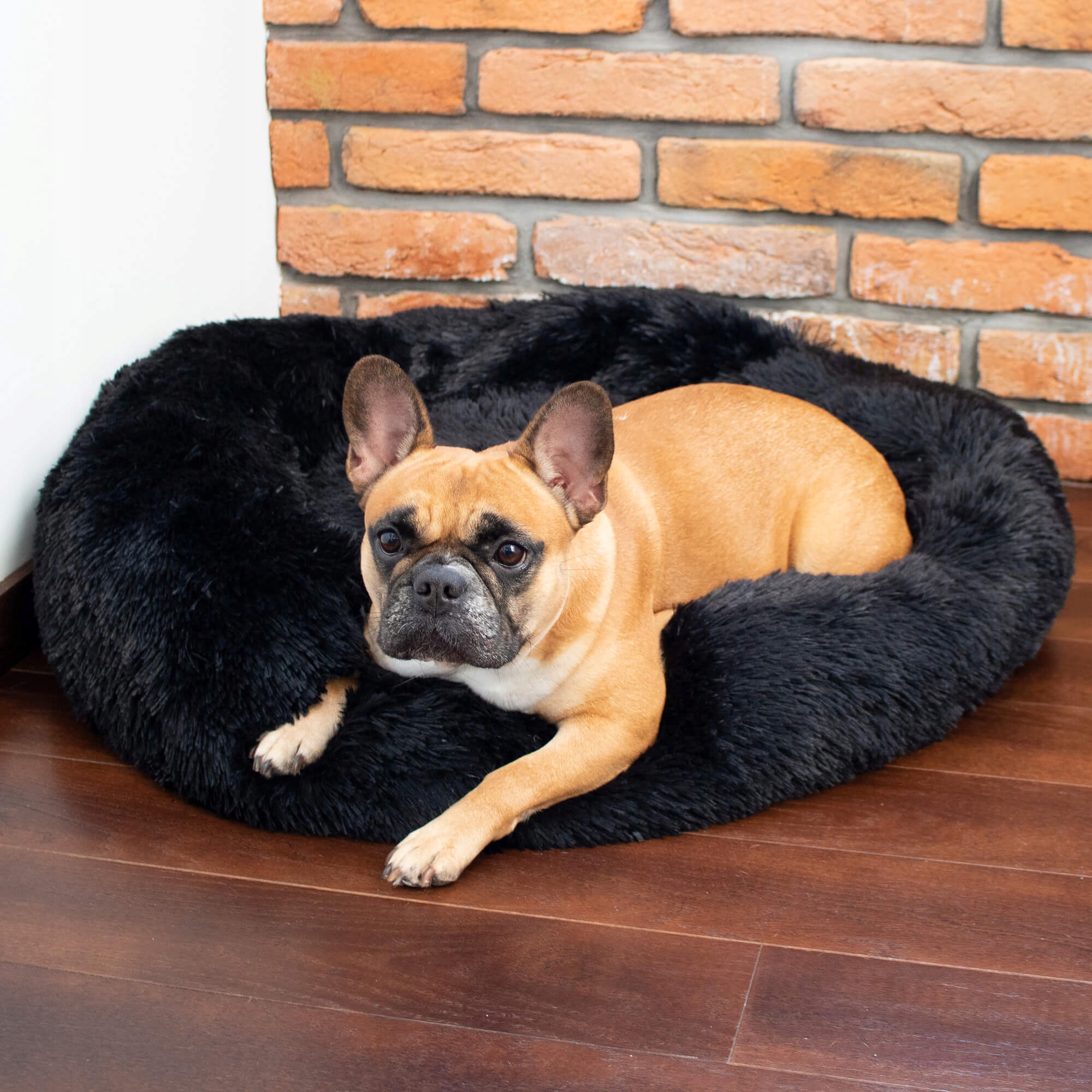 Pat Sersimo pentru caini si pisici, cu husa detasabila, negru, 40cm Household NewTrend