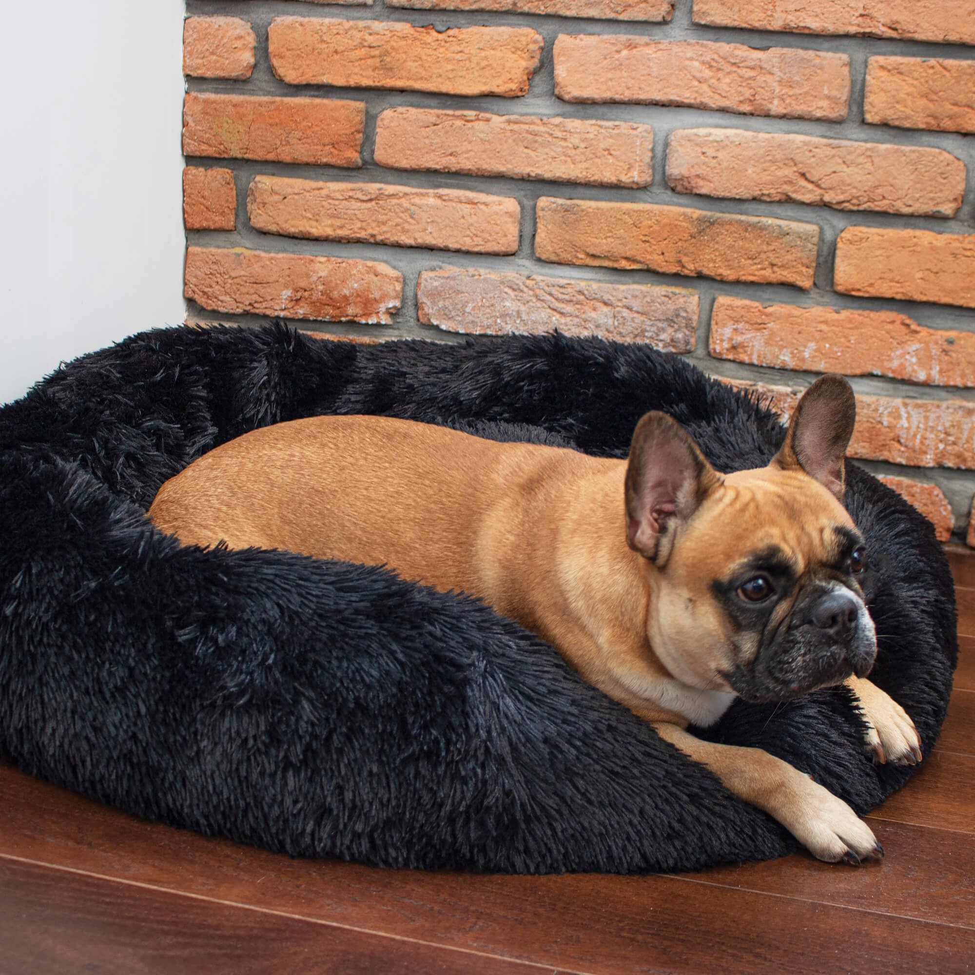 Pat Sersimo pentru caini si pisici, cu husa detasabila, negru, 40cm Household NewTrend