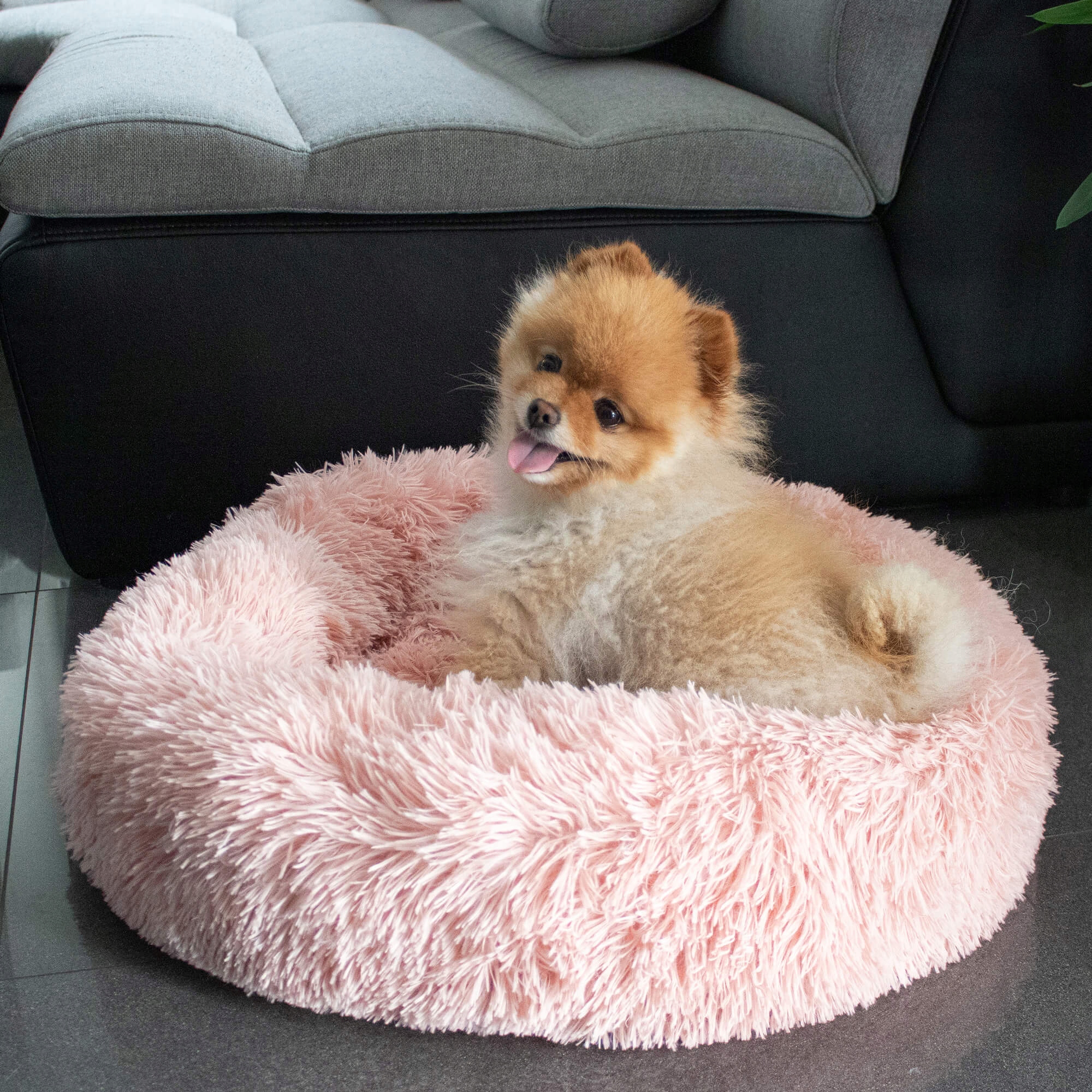 Pat Sersimo pentru caini si pisici, cu husa detasabila, roz deschis, diametru 50cm Household NewTrend