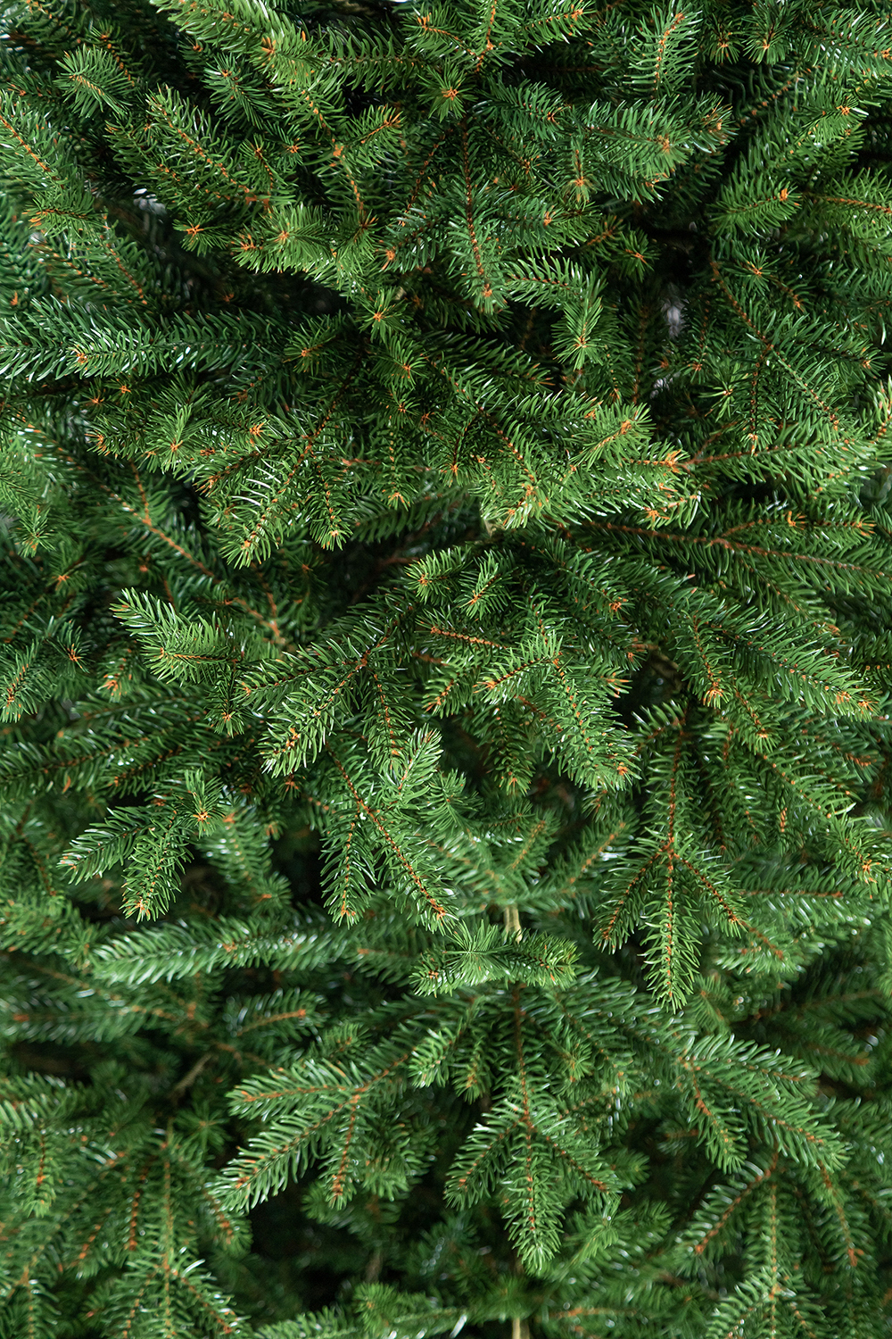 Brad artificial Christmas Deluxe by Sersimo, Alpin Select, integral 3D, 250 cm Household NewTrend