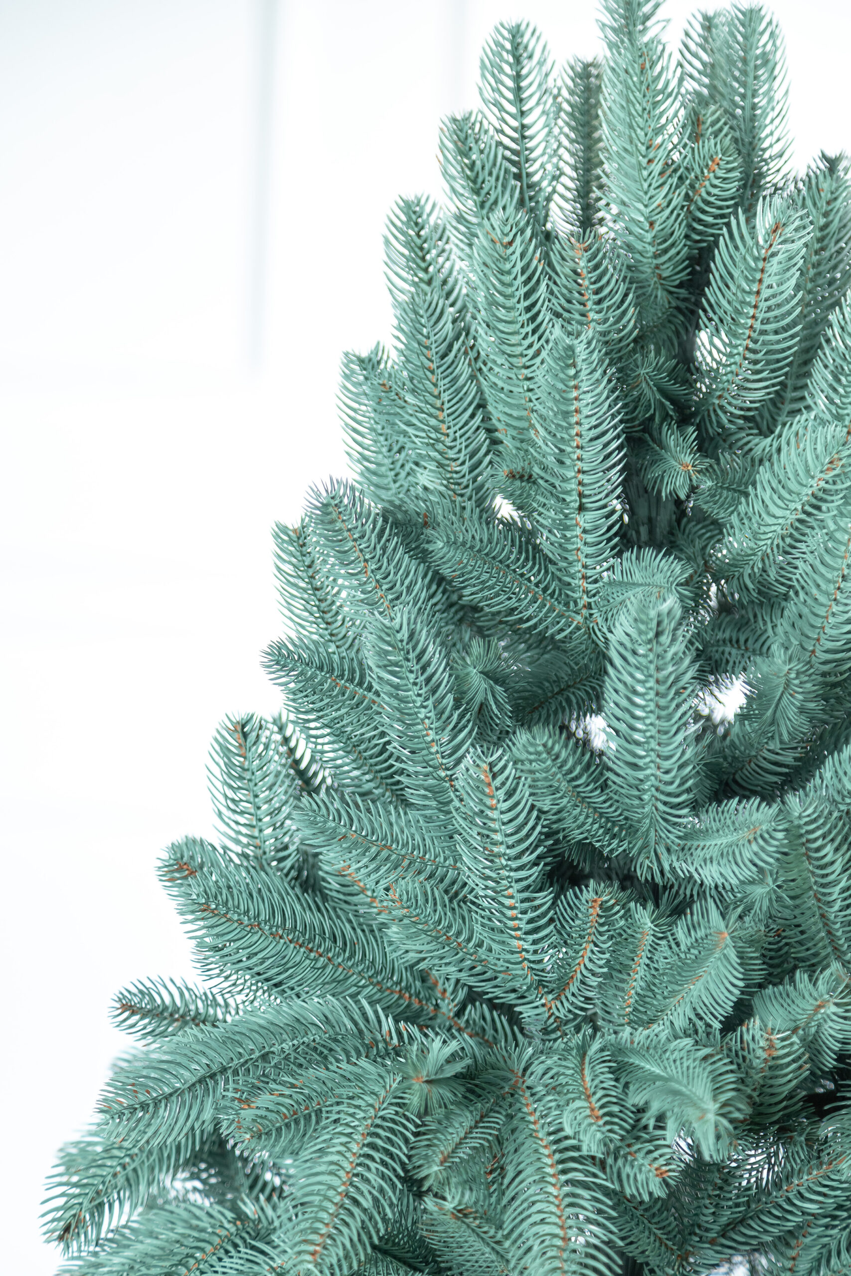 Brad artificial Christmas Deluxe by Sersimo, Laponia Select argintiu, integral 3D, 230cm Household NewTrend