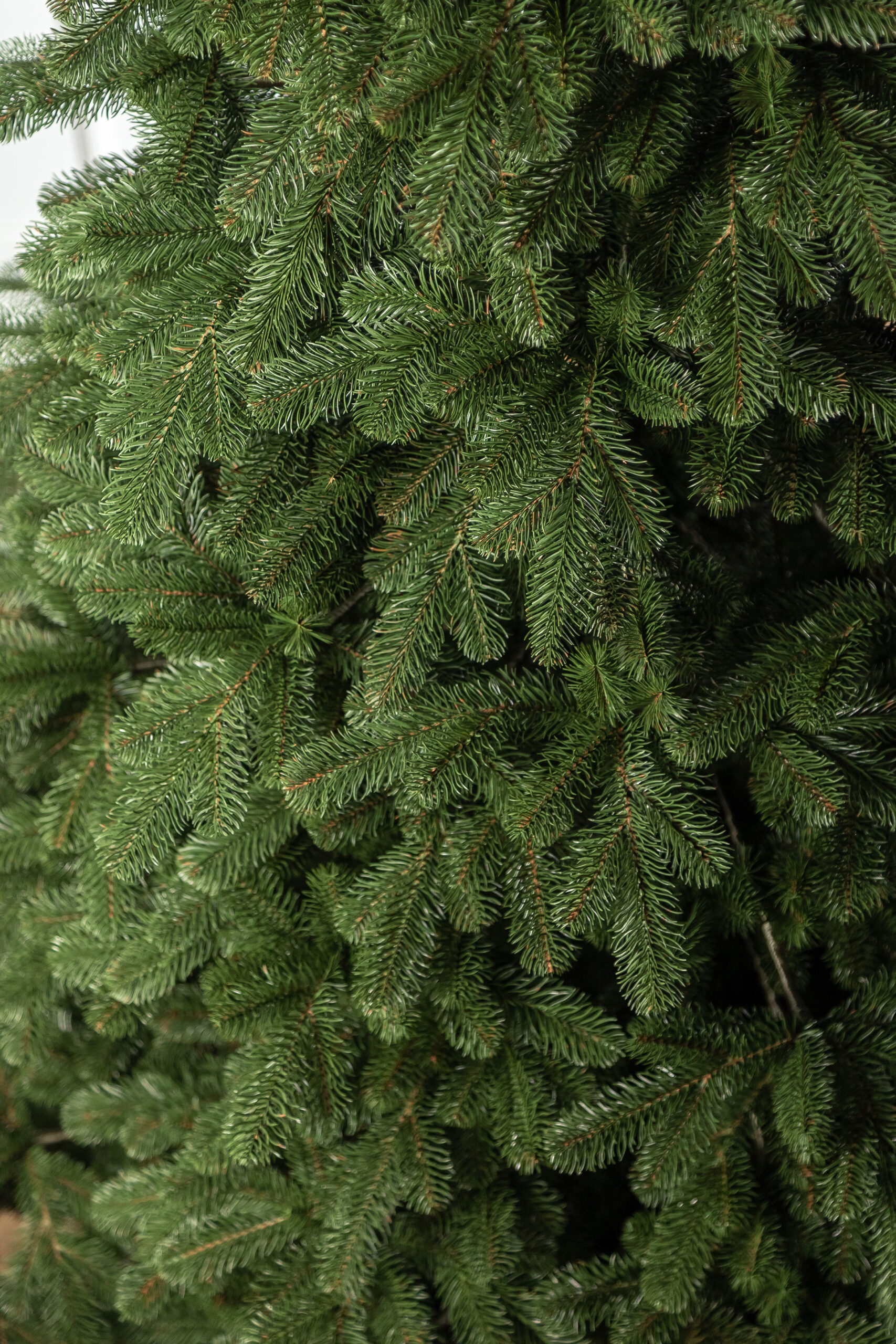 Brad artificial Christmas Deluxe by Sersimo, Kovalivka Select, integral 3D, 210cm Household NewTrend