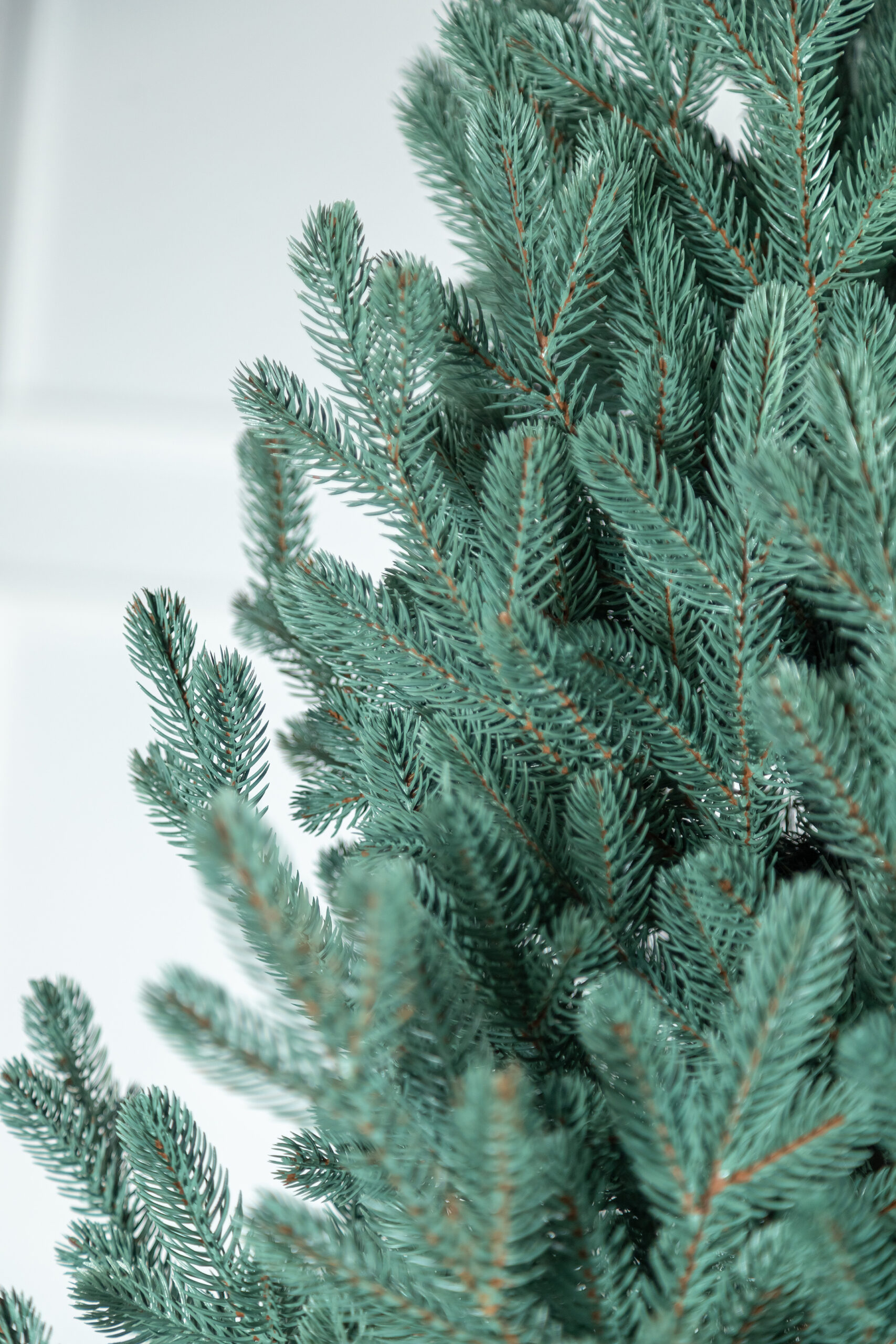 Brad artificial Christmas Deluxe by Sersimo, Viena Select argintiu, integral 3D, 210cm Household NewTrend