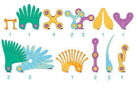 Clixo® joc magnetic de construit - Pasari tropicale (22 piese) PlayLearn Toys