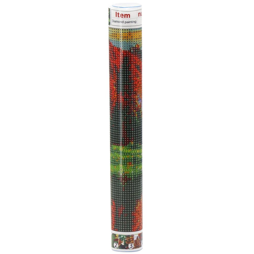 Set de broderie cu diamante 5D, 30x40cm, model Leu Household NewTrend