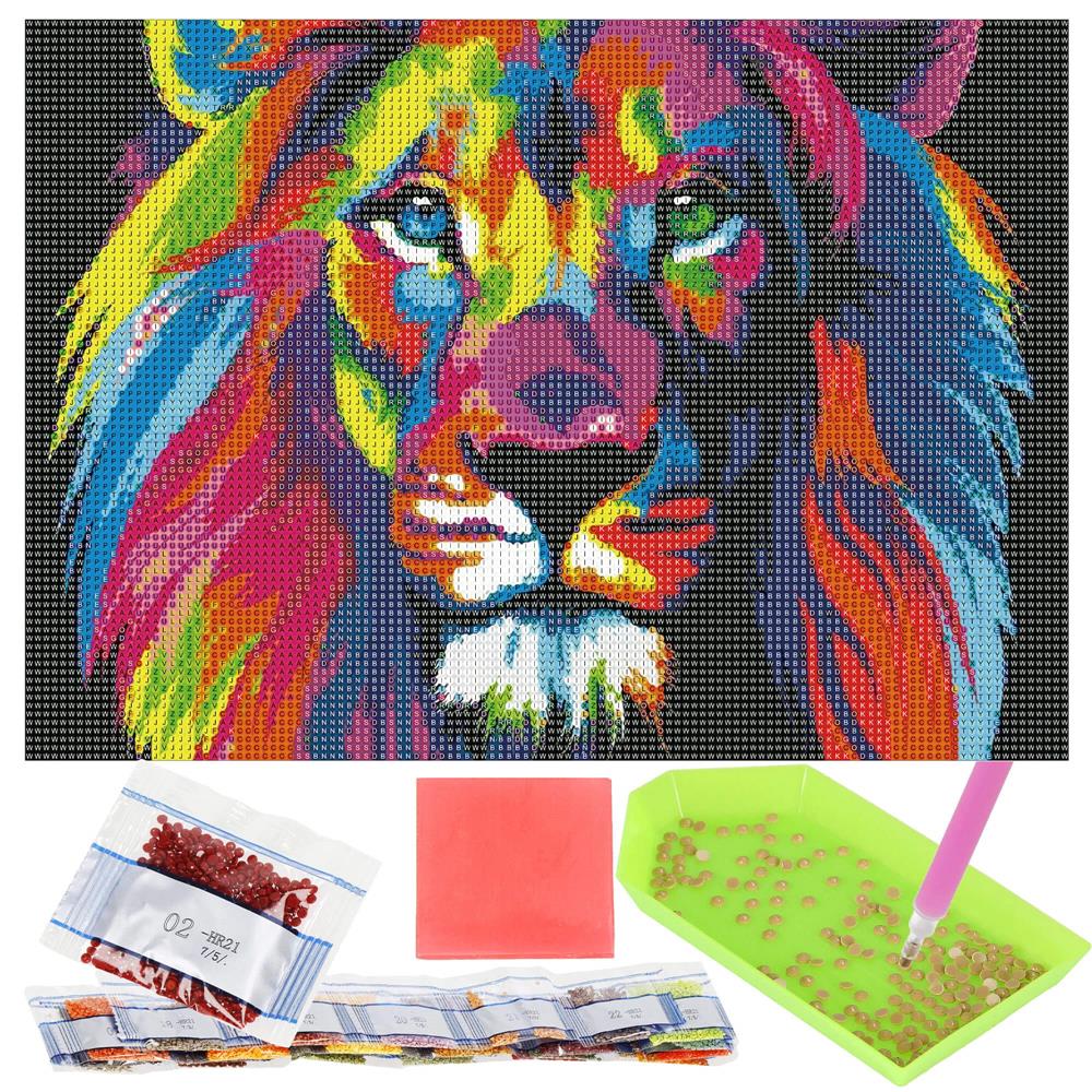 Set de broderie cu diamante 5D, 30x40cm, model Leu Household NewTrend