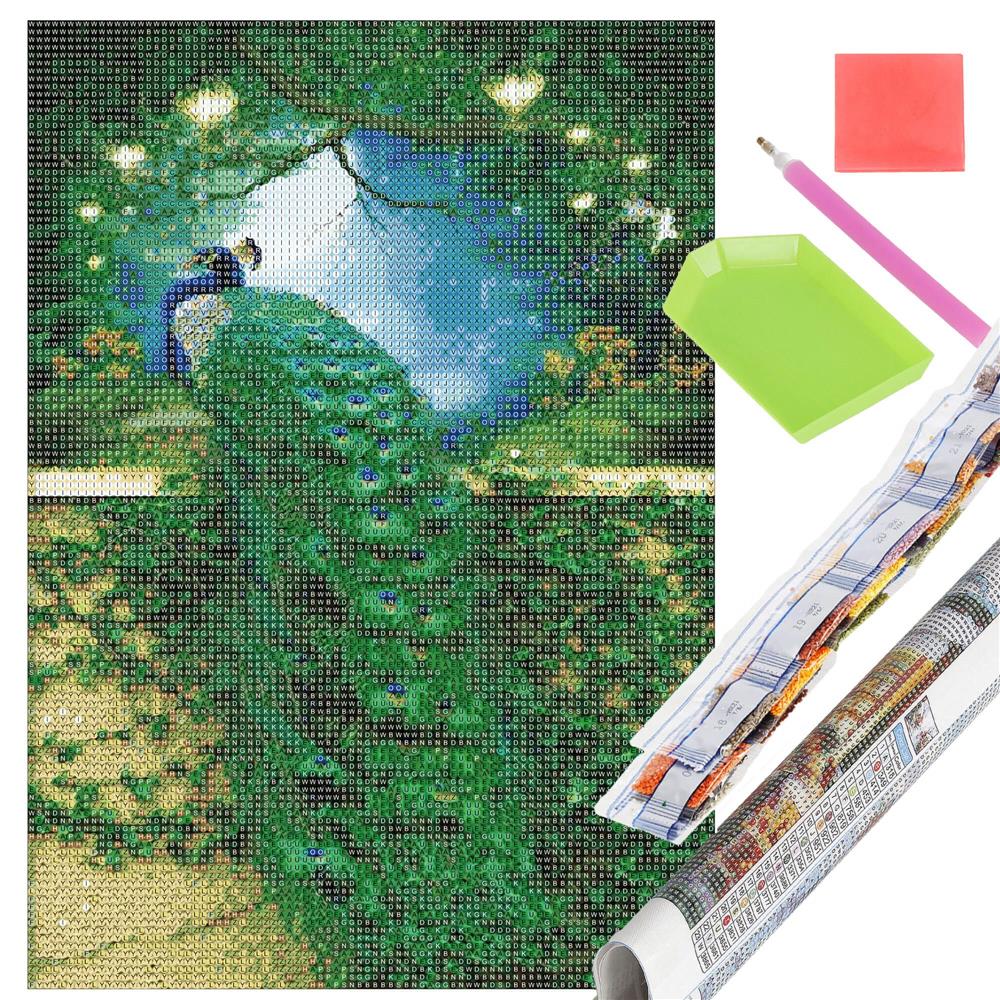 Set de broderie cu diamante 5D, 30x40cm, model Paun Household NewTrend
