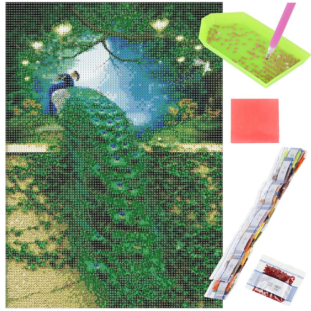 Set de broderie cu diamante 5D, 30x40cm, model Paun Household NewTrend