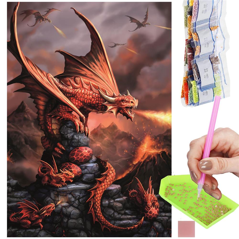 Set de broderie cu diamante 5D, 30x40cm, model Dragon cu pui Household NewTrend
