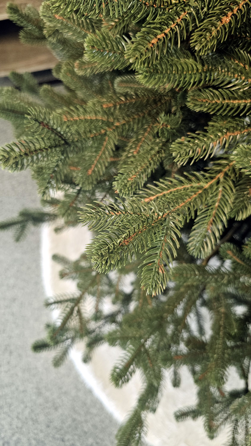 Brad artificial Christmas Deluxe by Sersimo, Viena verde, 3D, 250cm Household NewTrend