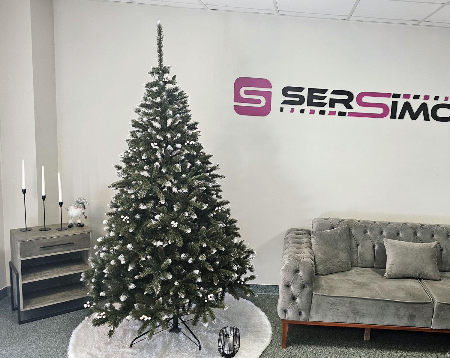 Brad artificial Christmas Deluxe by Sersimo, WhiteBerry, 2D, 220cm Household NewTrend