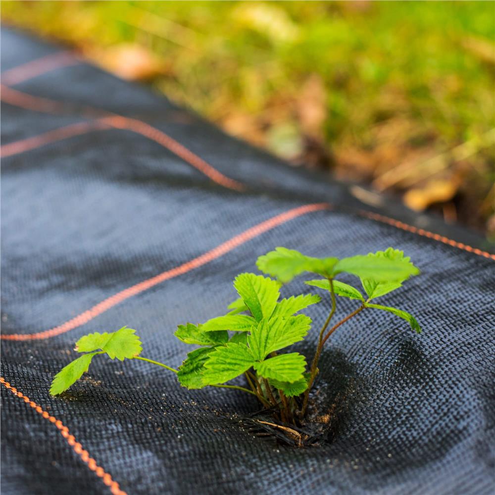 Folie agrotextil, mulcire, antiburuieni, filtru UV, 50 x 1.1metri, 90g/m2, negru Household NewTrend