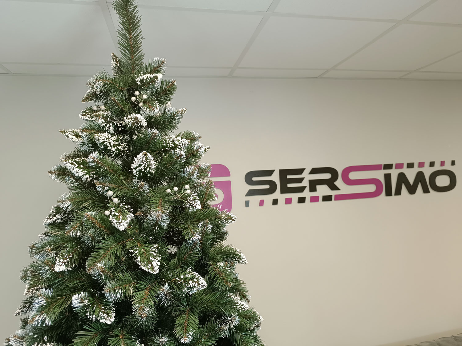 Brad artificial Christmas Deluxe by Sersimo, Crystal nins cu merisoare, 2D, 250cm Household NewTrend