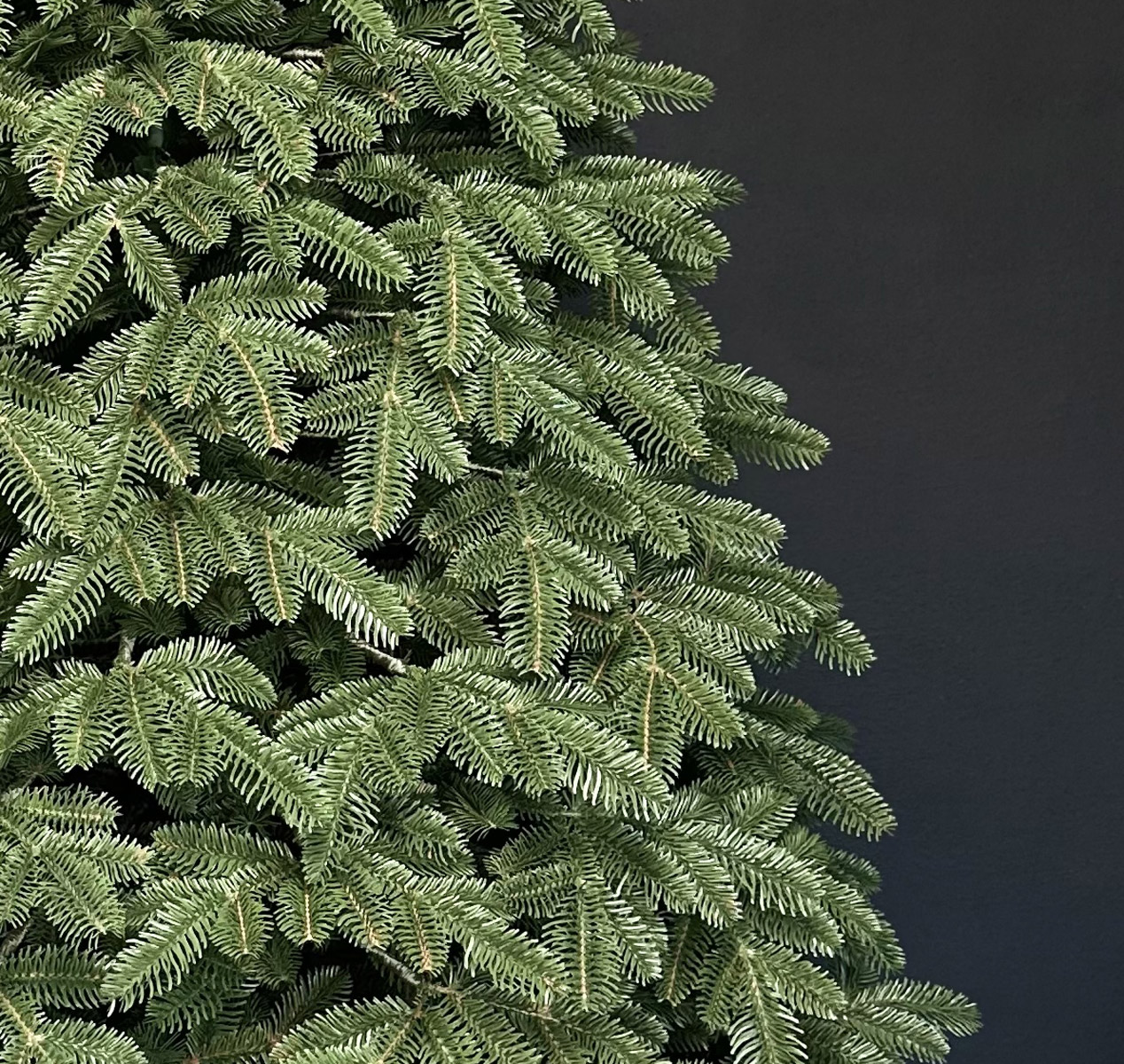 Brad artificial Christmas Deluxe by Sersimo, Canada verde, 3D, 180cm Household NewTrend
