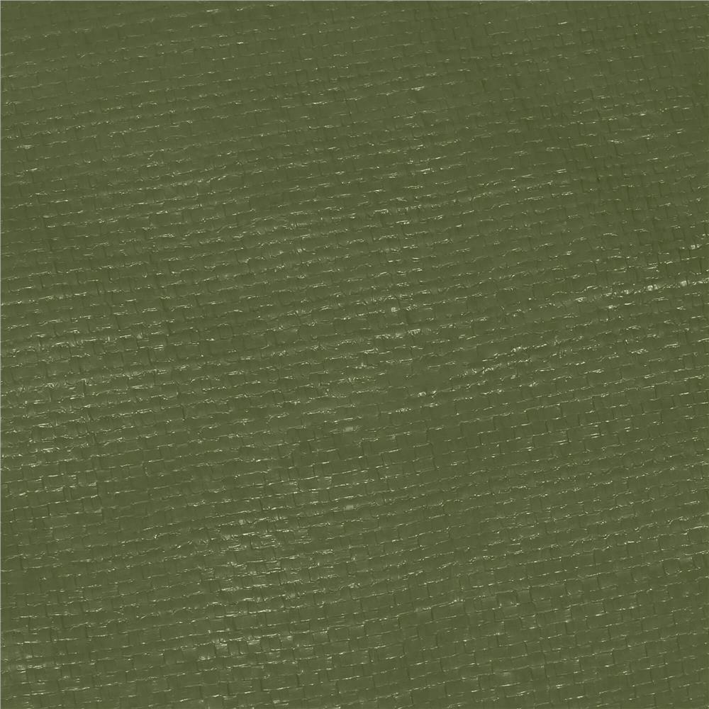 Prelata din polietilena impermeabila laminata, 120g/m2, 4x8m, verde Household NewTrend