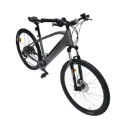 Bicicleta Electrica Corwin 28162 - 28 Inch, 450mm, Gri Ultimate FactoryBikes