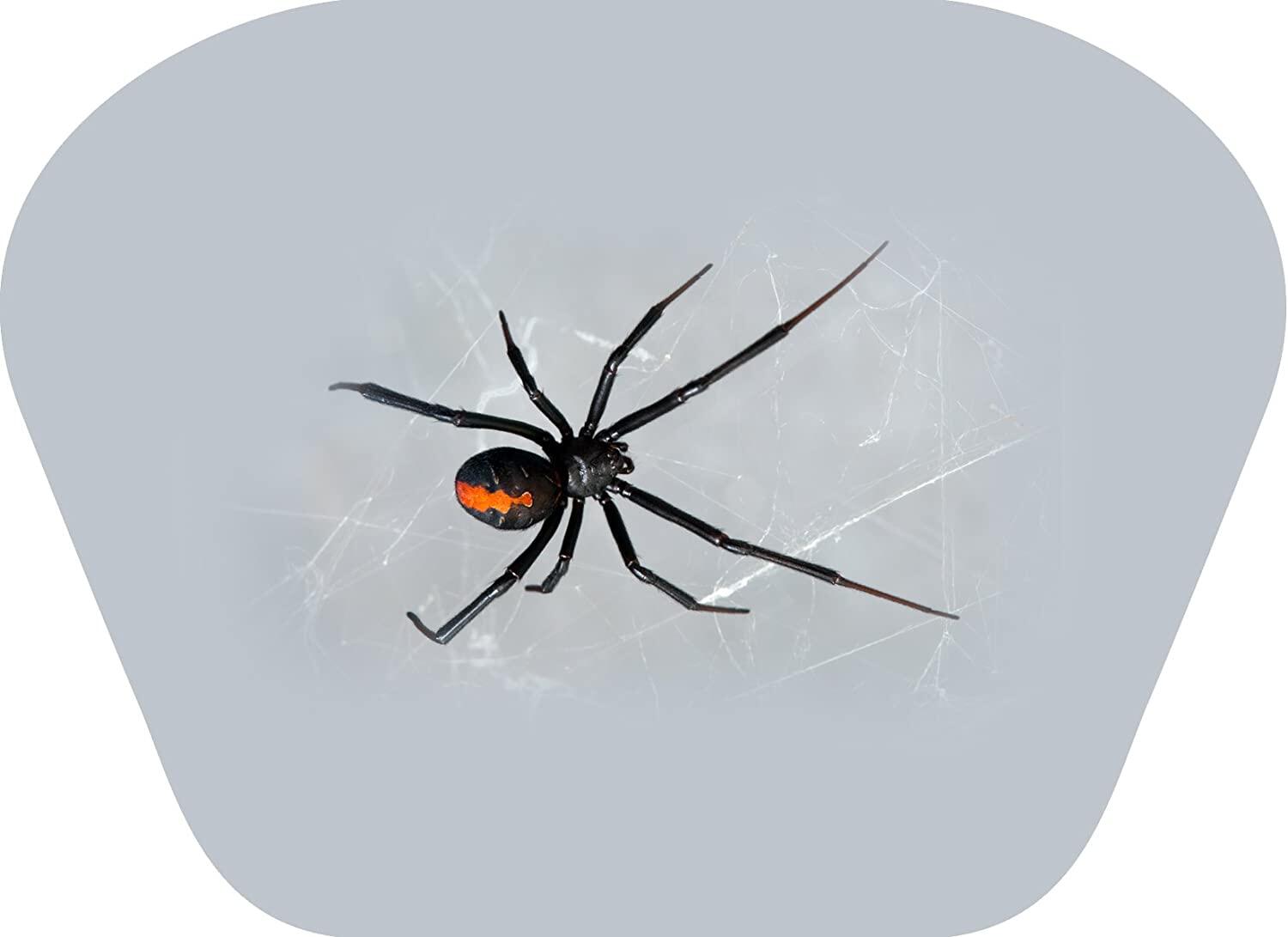 Proiector tip lanterna - Insecte PlayLearn Toys