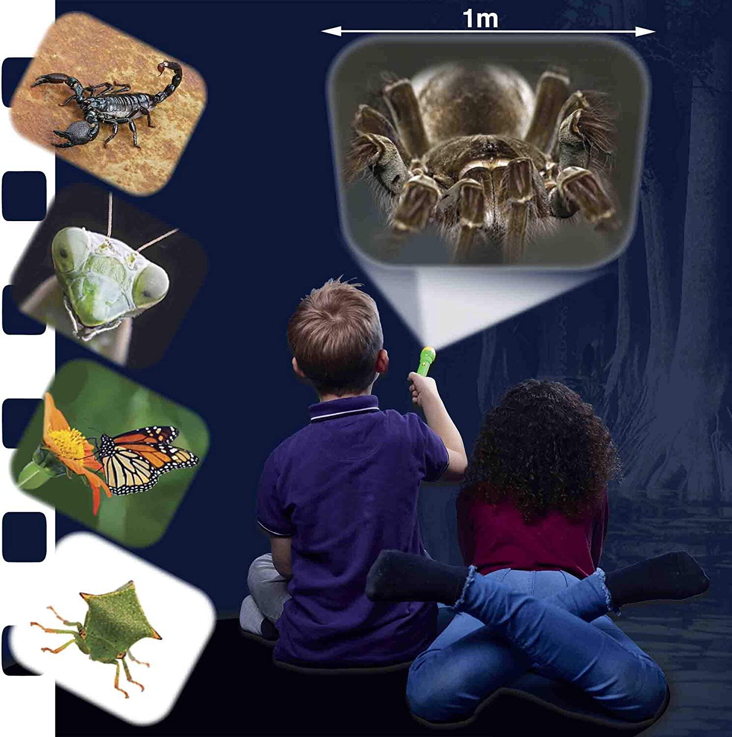 Proiector tip lanterna - Insecte PlayLearn Toys