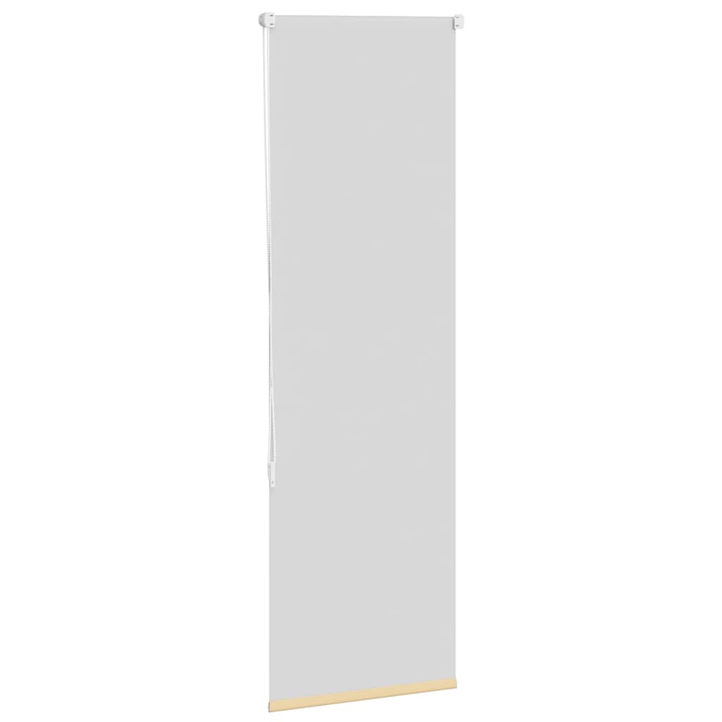 Jaluzea cu role opace bej 50x175 cm lățime material 45,7 cm GartenMobel Dekor