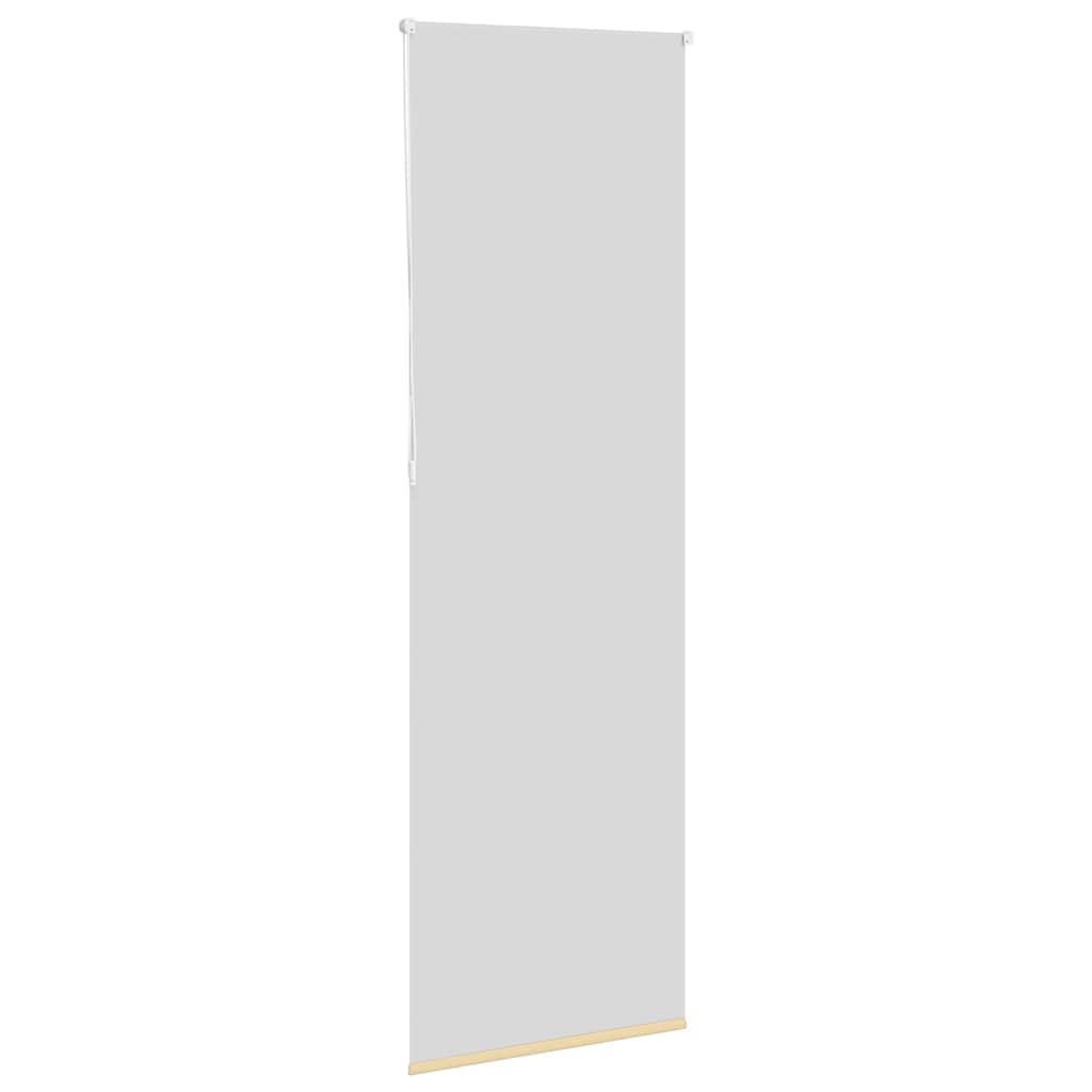 Jaluzea cu role opace bej 70x210 cm lățime material 65,7 cm GartenMobel Dekor