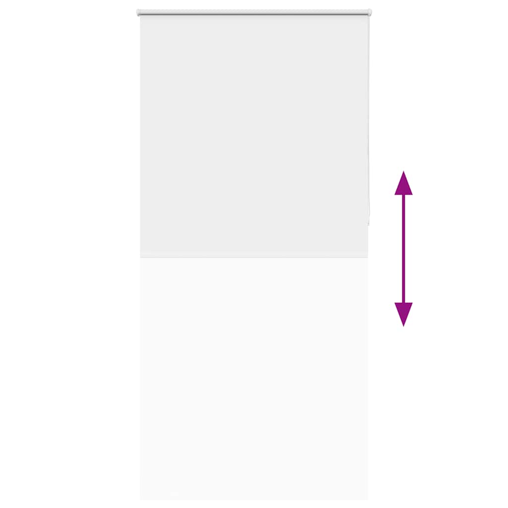Jaluzea cu rolă opaca alb 115x210 cm Lățime materială 110,7 cm GartenMobel Dekor