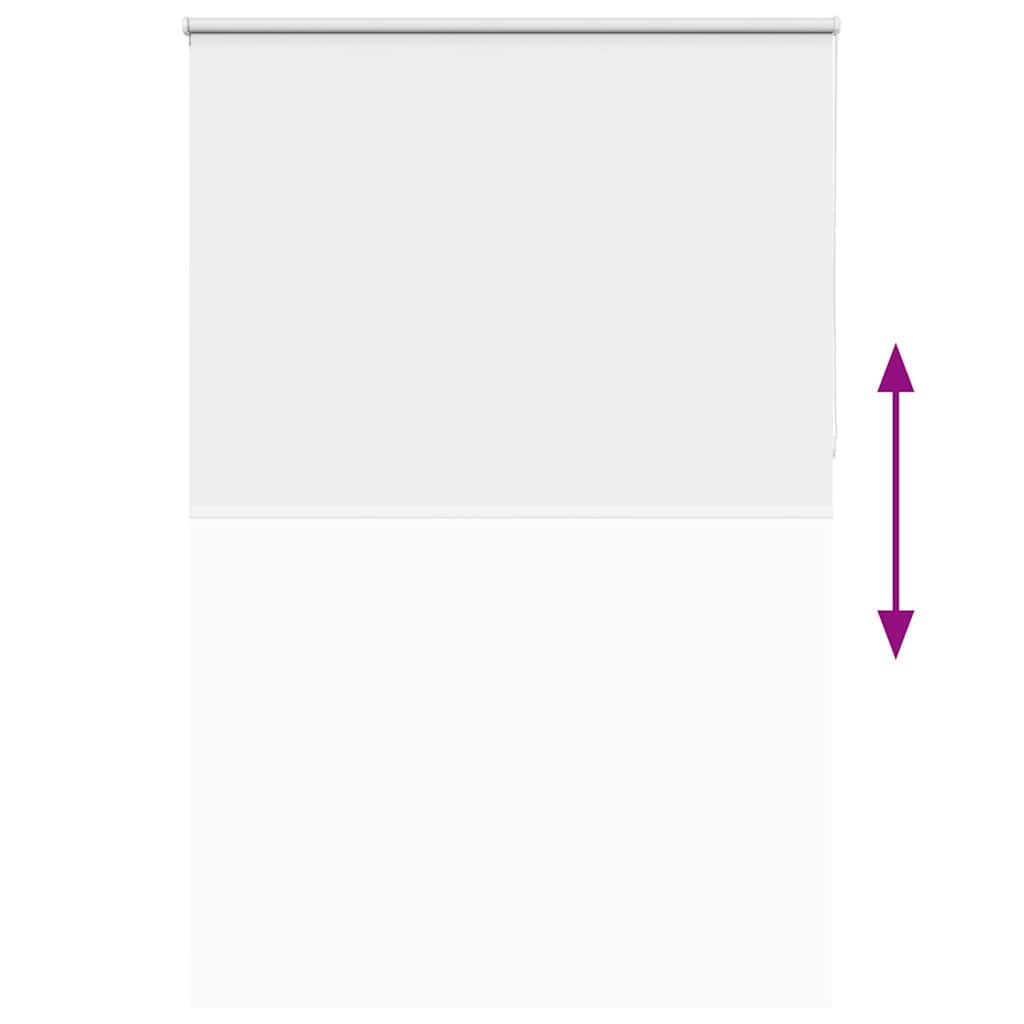 Jaluzea cu role opace alb 155x210 cm Lățime material 151,6 cm GartenMobel Dekor
