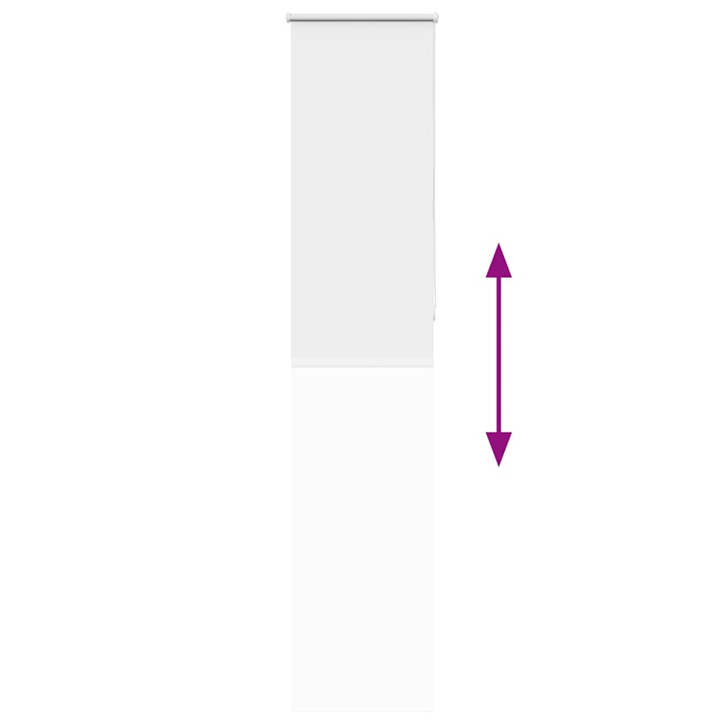 Jaluzea cu role opace alb 50x210 cm lățime material 45,7 cm GartenMobel Dekor