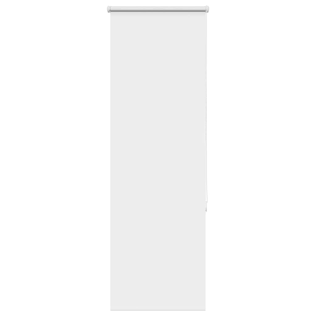 Jaluzea cu role opace alb 55x150 cm lățime material 50,7 cm GartenMobel Dekor