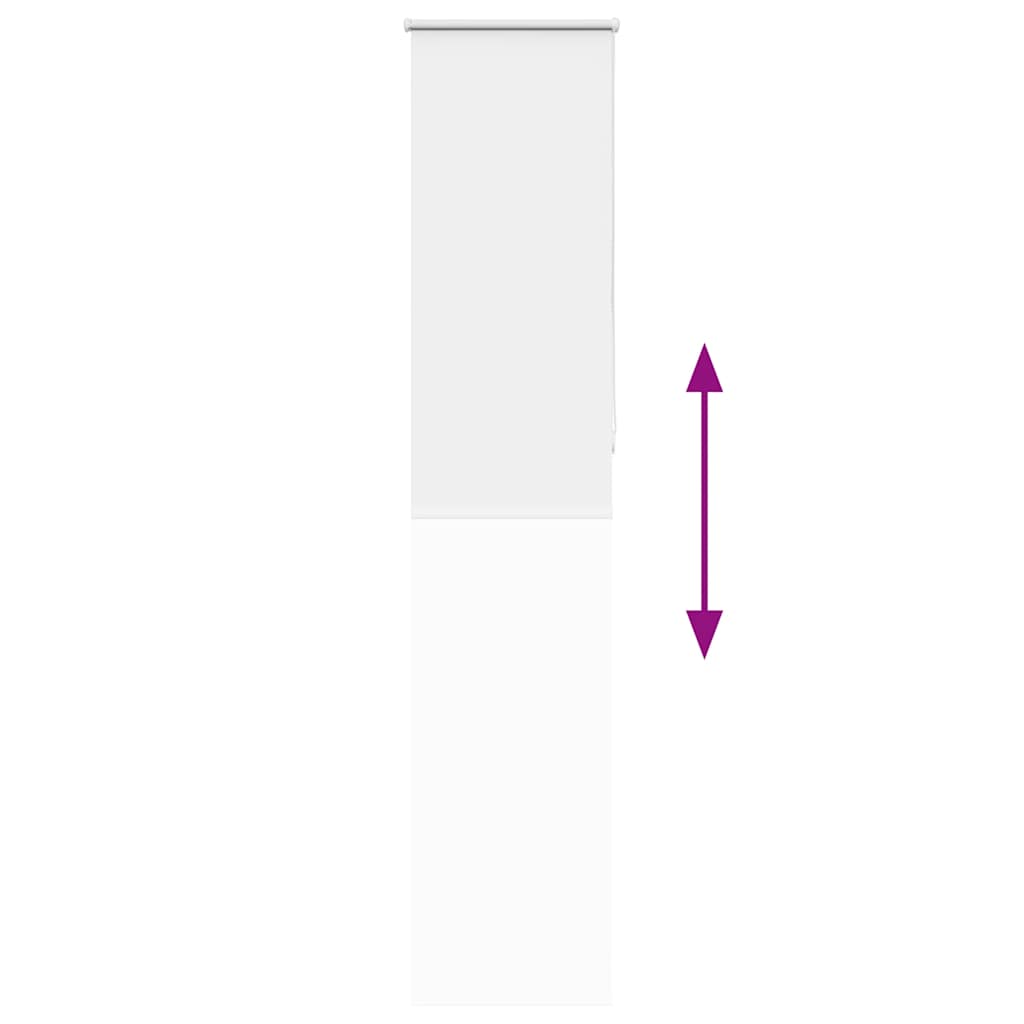 Jaluzea cu role opace alb 55x230 cm lățime material 50,7 cm GartenMobel Dekor