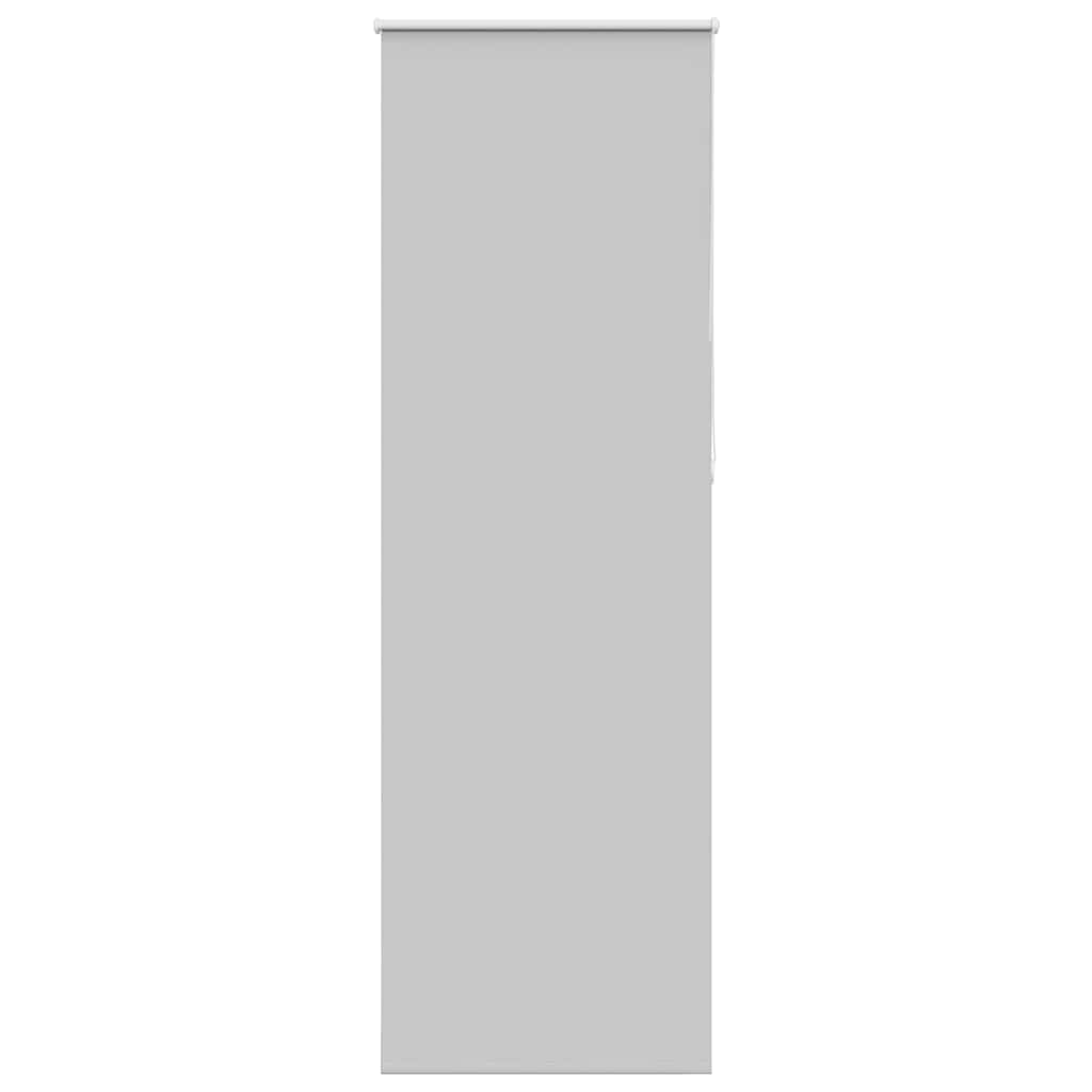 Jaluzea cu role opace 65x210 cm lățime material 60,7 cm GartenMobel Dekor