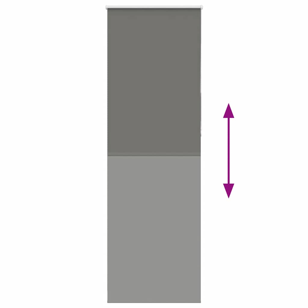 Jaluzea cu role opace gri 75x210 cm lățime material 70,7 cm GartenMobel Dekor