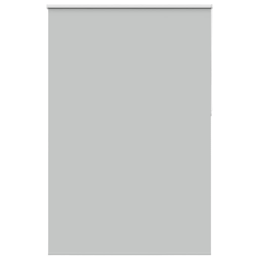 Jaluzea cu role opace gri deschis Lățime material 161,6 cm GartenMobel Dekor