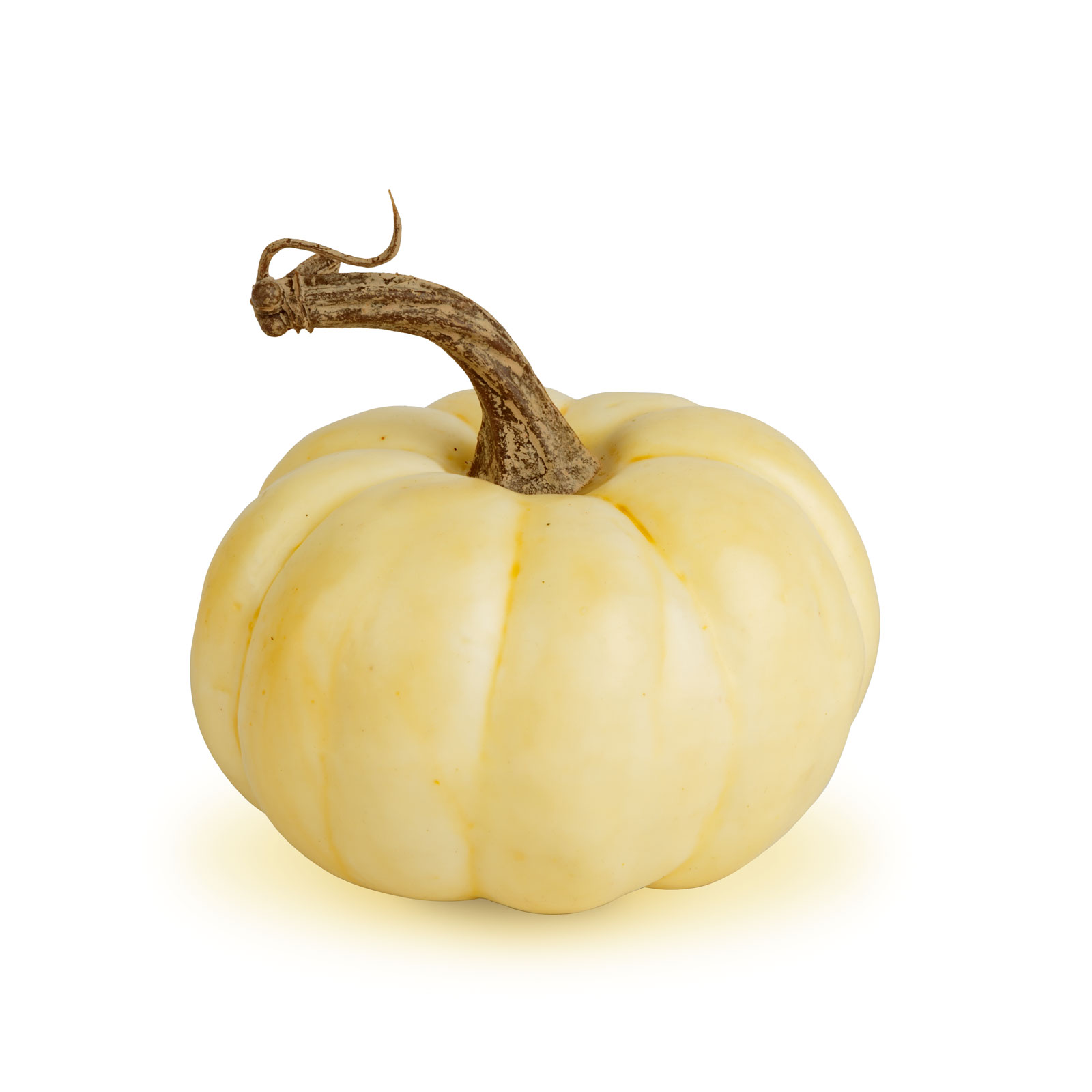 Decorațiune de toamnă – dovleci decorativi – 6 modele – plastic Best CarHome