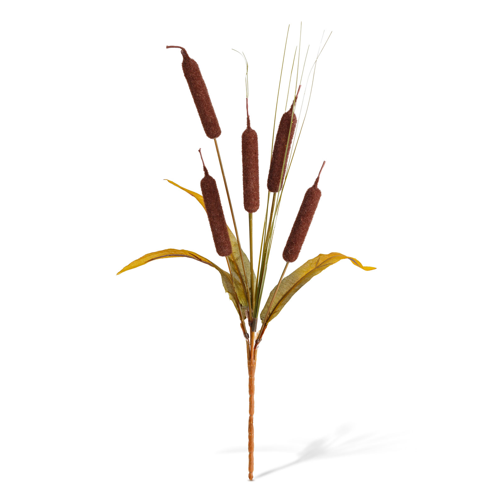 Decorațiune de toamnă – papură decorativă – 40 cm – 2 modele Best CarHome