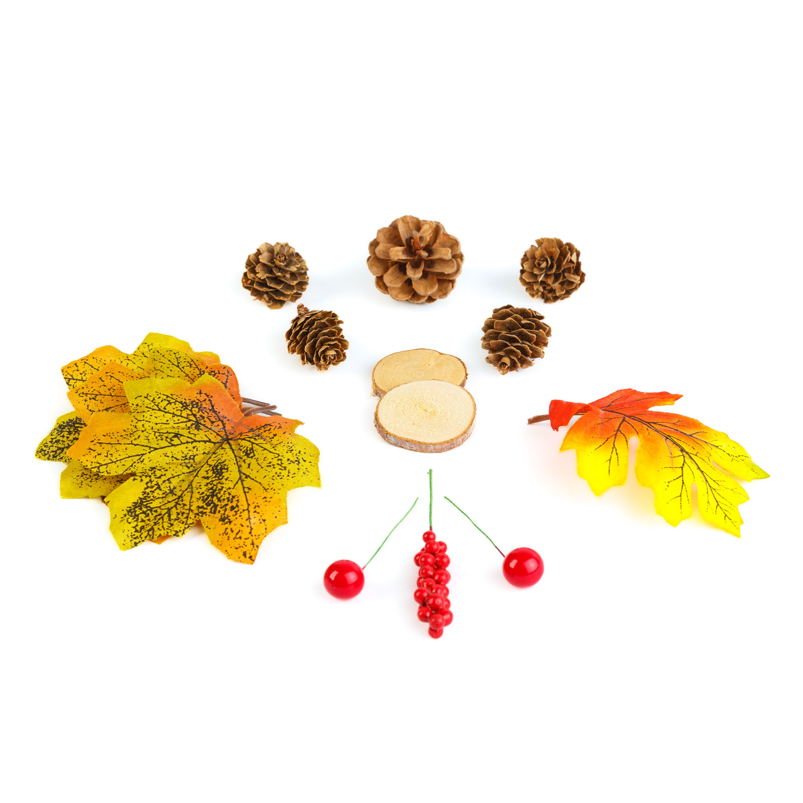 Decorațiune de toamnă – set frunze, conuri de brad și dovleci – 4 modele Best CarHome