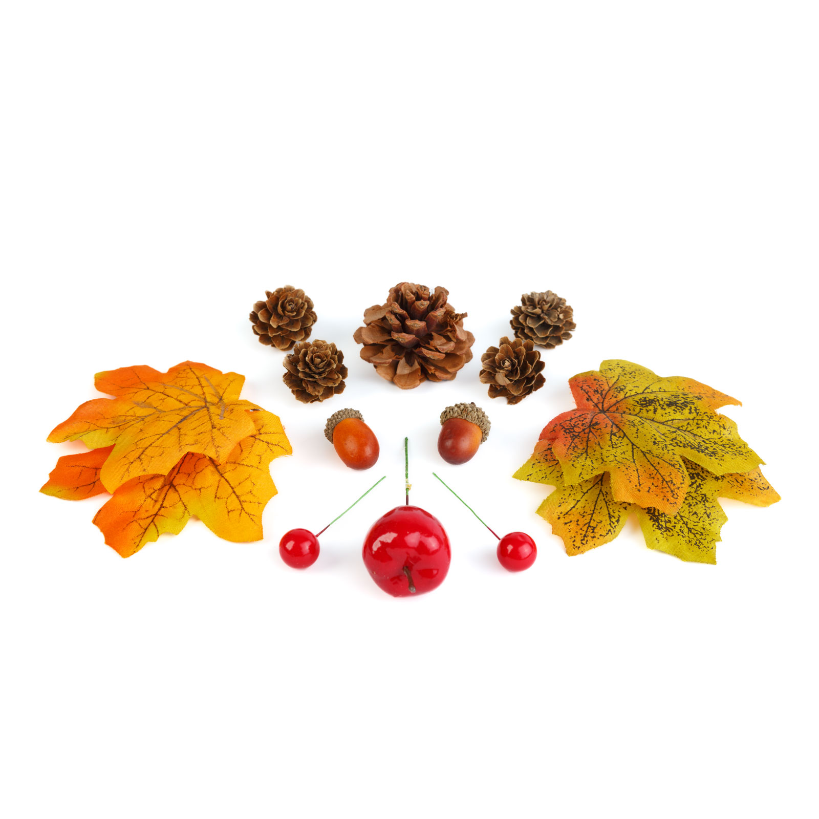 Decorațiune de toamnă – set frunze, conuri de brad și dovleci – 4 modele Best CarHome